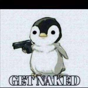 Meet your Posher, Elliott